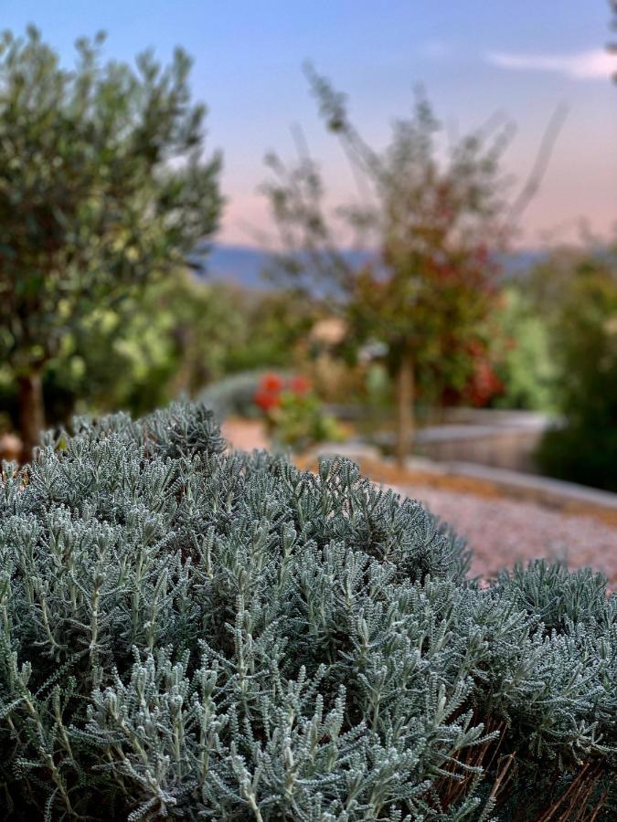 Senteurs Du Maquis Otel Porticcio  Dış mekan fotoğraf