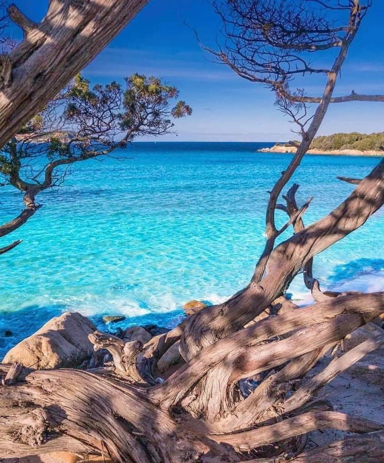 Senteurs Du Maquis Otel Porticcio  Dış mekan fotoğraf